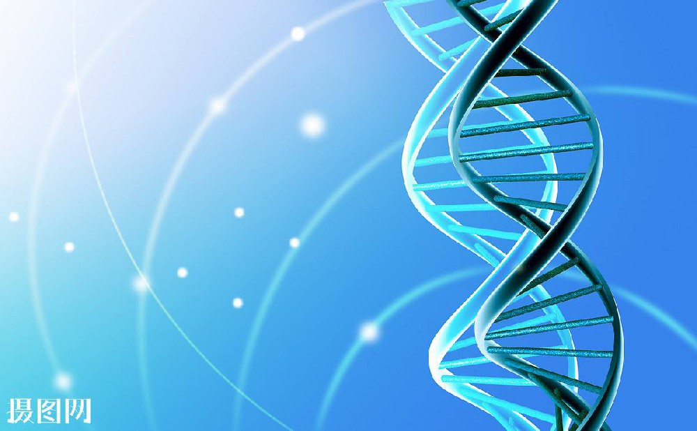 绿巨人APP色APP冷链物流的发展趋势